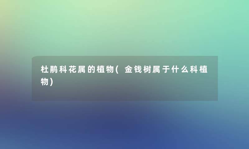 杜鹃科花属的植物(金钱树属于什么科植物) 杜鹃科花属的植物(金钱树属于什么科植物)