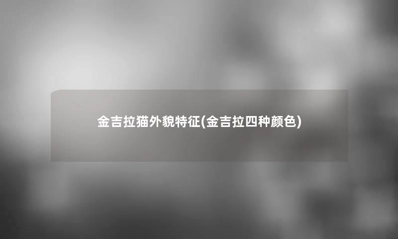 金吉拉猫外貌特征(金吉拉四种颜色) 金吉拉猫外貌特征(金吉拉四种颜色)