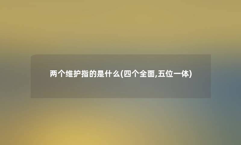 两个维护指的是什么(四个全面,五位一体) 两个维护指的是什么(四个全面,五位一体)