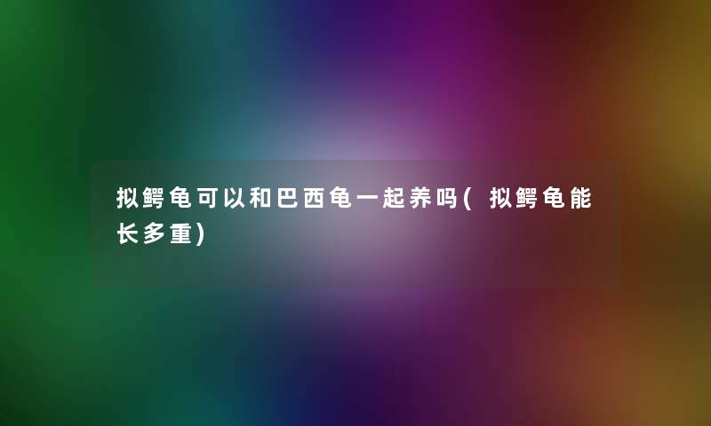 拟鳄龟可以和巴西龟一起养吗(拟鳄龟能长多重) 拟鳄龟可以和巴西龟一起养吗(拟鳄龟能长多重)