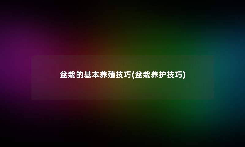 盆栽的基本养殖技巧(盆栽养护技巧) 盆栽的基本养殖技巧(盆栽养护技巧)