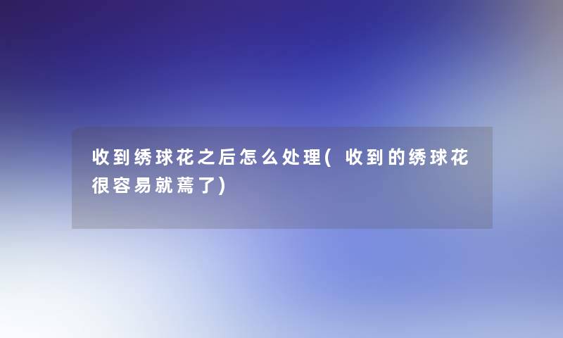收到绣球花之后怎么处理(收到的绣球花很容易就蔫了) 收到绣球花之后怎么处理(收到的绣球花很容易就蔫了)