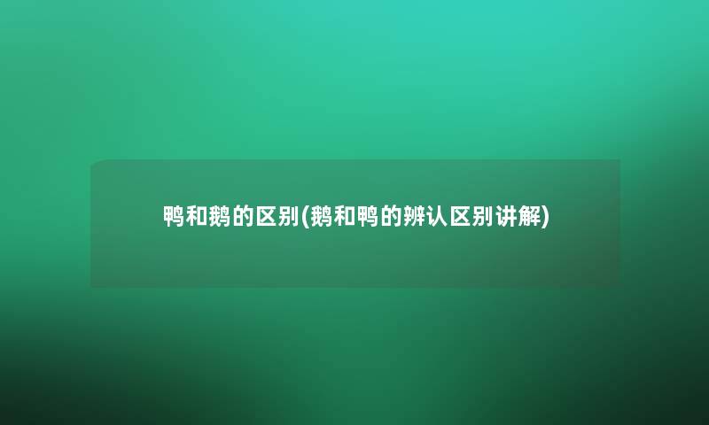 鸭和鹅的区别(鹅和鸭的辨认区别讲解) 鸭和鹅的区别(鹅和鸭的辨认区别讲解)