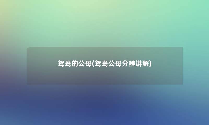 鸳鸯的公母(鸳鸯公母分辨讲解) 鸳鸯的公母(鸳鸯公母分辨讲解)