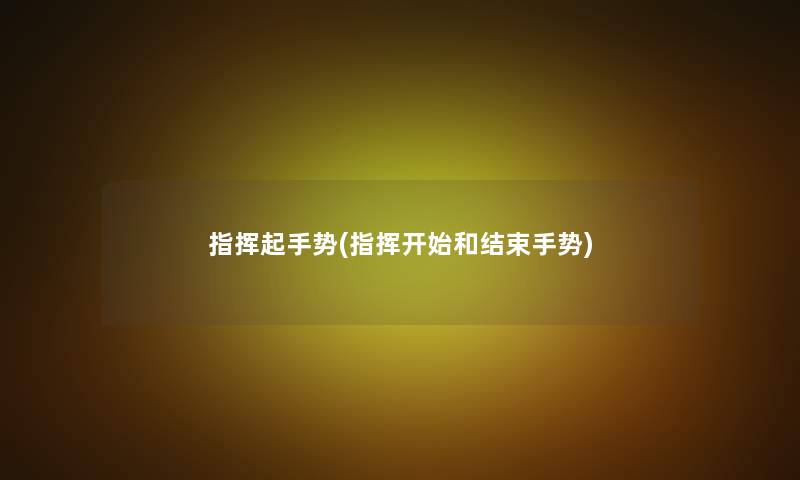 指挥起手势(指挥开始和结束手势) 指挥起手势(指挥开始和结束手势)