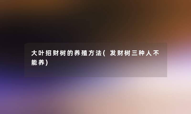大叶招财树的养殖方法(发财树三种人不能养) 大叶招财树的养殖方法(发财树三种人不能养)