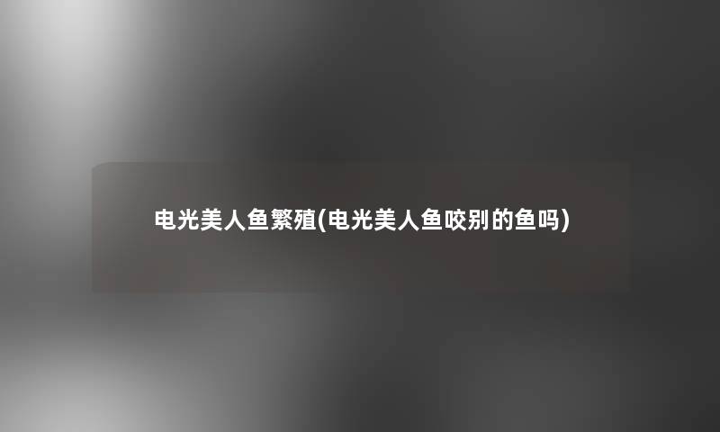 电光美人鱼繁殖(电光美人鱼咬别的鱼吗) 电光美人鱼繁殖(电光美人鱼咬别的鱼吗)