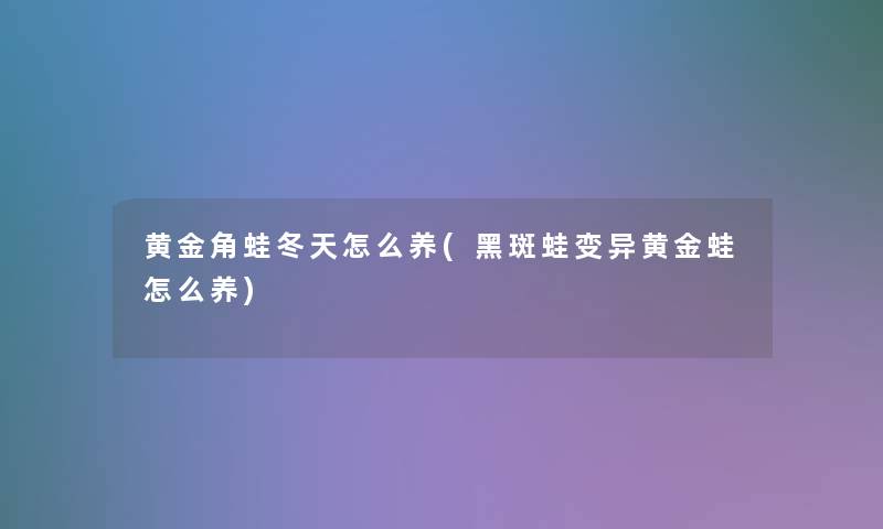 黄金角蛙冬天怎么养(黑斑蛙变异黄金蛙怎么养) 黄金角蛙冬天怎么养(黑斑蛙变异黄金蛙怎么养)