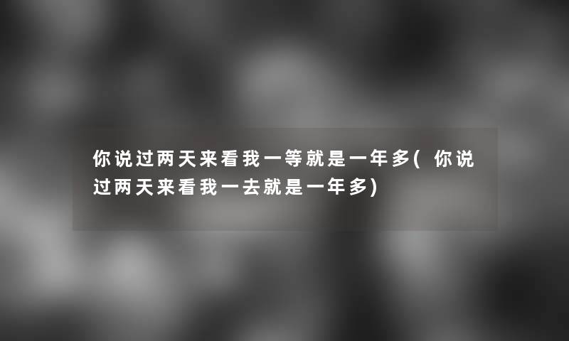 你说过两天来看我一等就是一年多(你说过两天来看我一去就是一年多) 你说过两天来看我一等就是一年多(你说过两天来看我一去就是一年多)