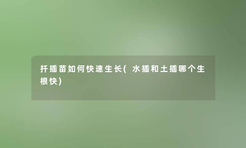 扦插苗如何快速生长(水插和土插哪个生根快) 扦插苗如何快速生长(水插和土插哪个生根快)