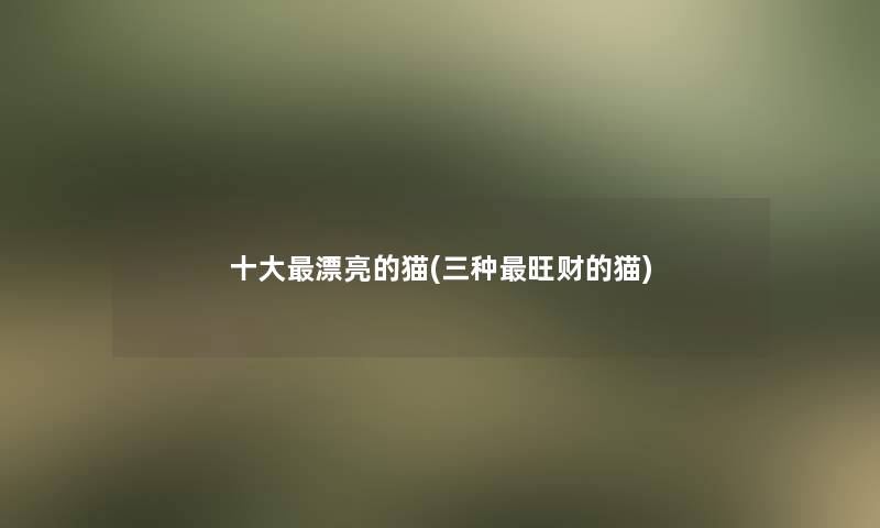 一些漂亮的猫(三种旺财的猫) 一些漂亮的猫(三种旺财的猫)