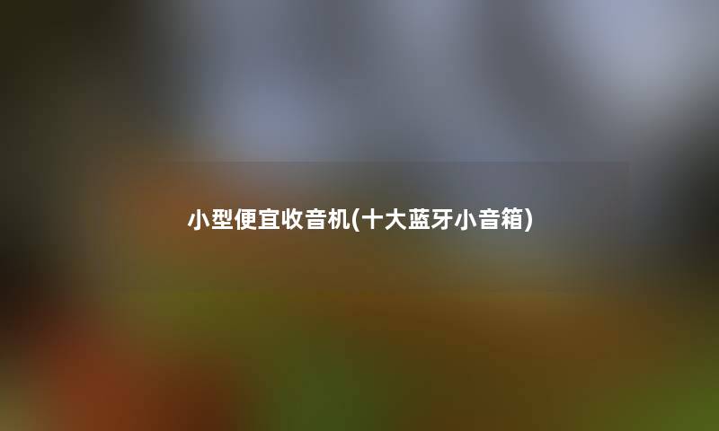 小型便宜收音机(一些蓝牙小音箱) 小型便宜收音机(一些蓝牙小音箱)