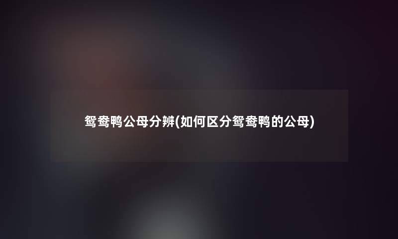 鸳鸯鸭公母分辨(如何区分鸳鸯鸭的公母) 鸳鸯鸭公母分辨(如何区分鸳鸯鸭的公母)