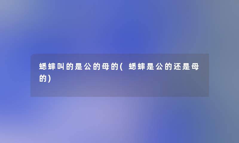 蟋蟀叫的是公的母的(蟋蟀是公的还是母的) 蟋蟀叫的是公的母的(蟋蟀是公的还是母的)