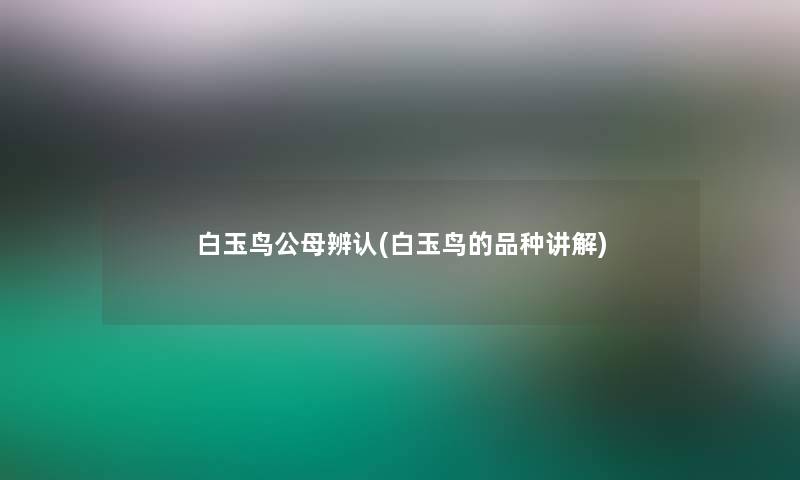 白玉鸟公母辨认(白玉鸟的品种讲解) 白玉鸟公母辨认(白玉鸟的品种讲解)