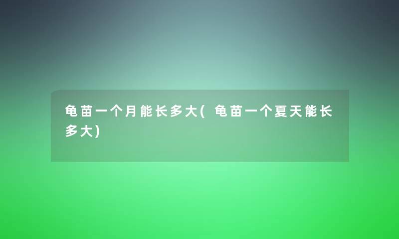 龟苗一个月能长多大(龟苗一个夏天能长多大) 龟苗一个月能长多大(龟苗一个夏天能长多大)