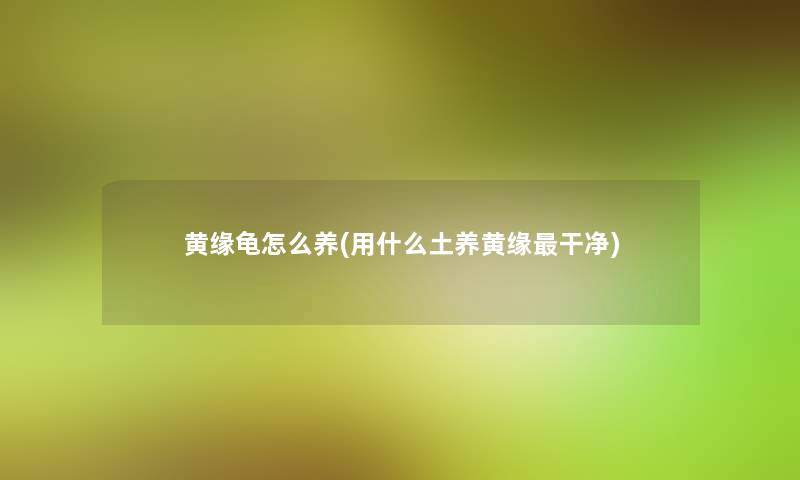 黄缘龟怎么养(用什么土养黄缘干净) 黄缘龟怎么养(用什么土养黄缘干净)