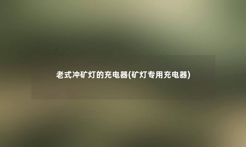 老式冲矿灯的充电器(矿灯专用充电器) 老式冲矿灯的充电器(矿灯专用充电器)